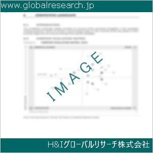 グローバルリサーチ調査資料のイメージ